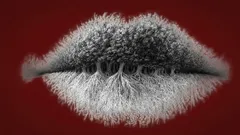 La prima cosa che noti in questa immagine può rivelare se sei introverso, estroverso o ambiverso.